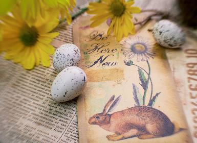 2025年福彩双色球开奖号码走势图最新发布