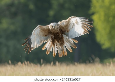 2025年最新3D开奖记录与历史结果查询