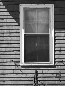 2025年福彩开奖号码全记录与走势分析