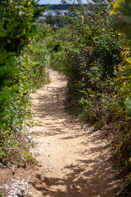 2025年最新开奖记录完整版汇总